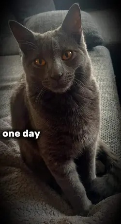 Day one.