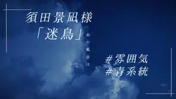 相応しい傷だけ__