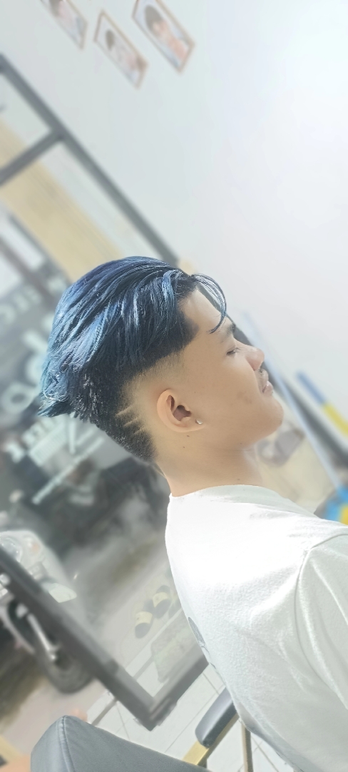 Cover Picture