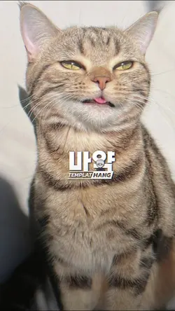 กำลังฮิต 12รูป