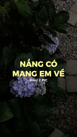 Mưa Rơi Khẽ Rơi