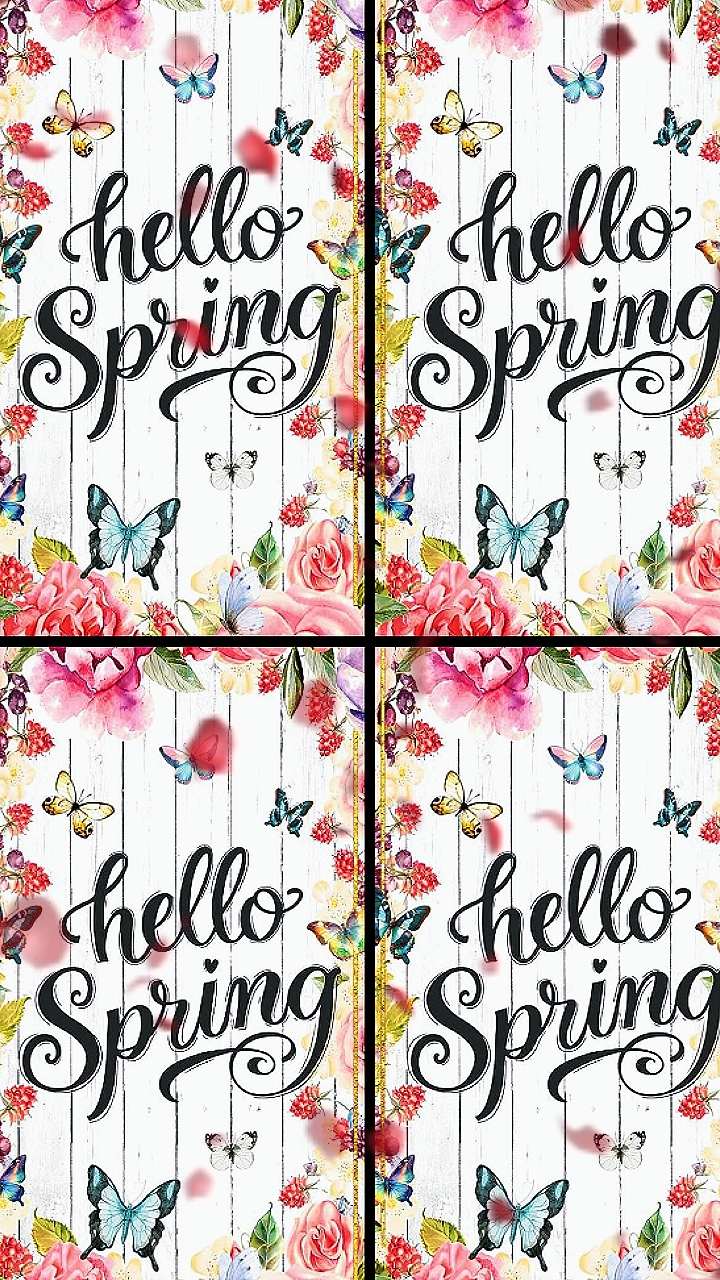 HOLA PRIMAVERA 2026