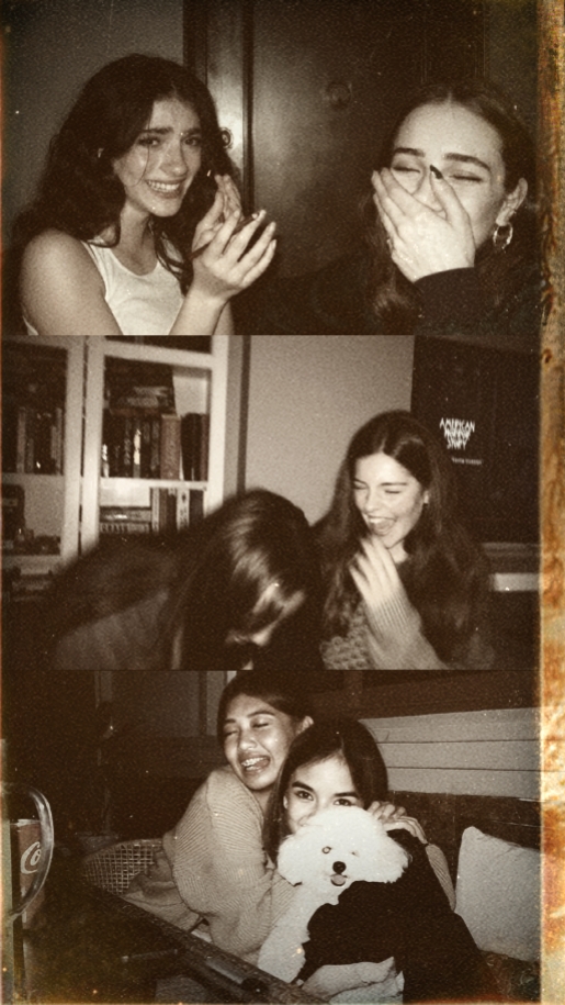 3 Bild