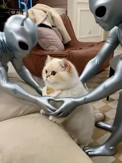 Taken Cat Alien 