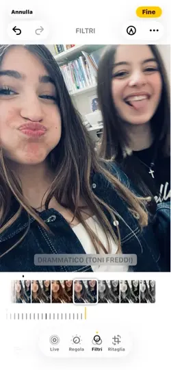 shivasfera