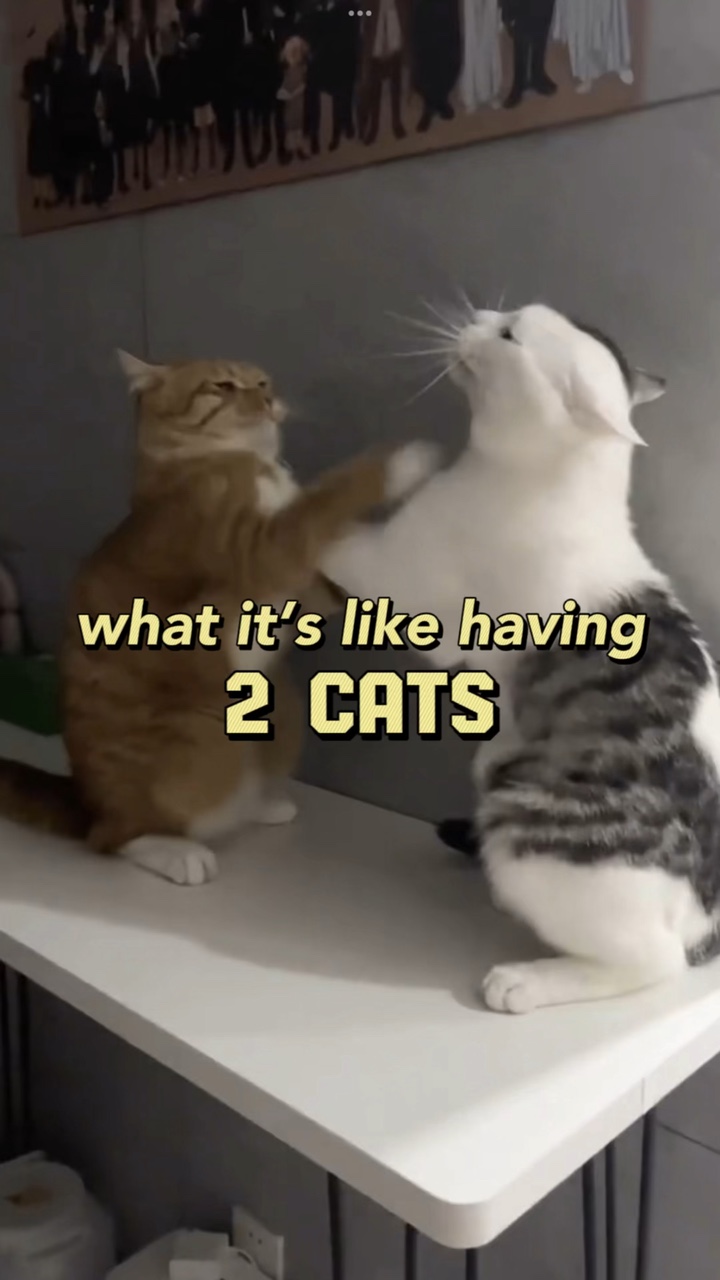 what it’s like