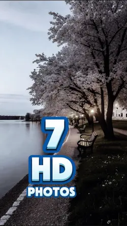 7 HD PHOTO