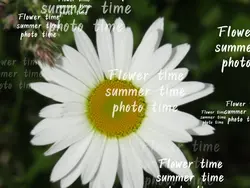 flower time