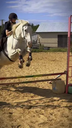 THIS JUMP>>