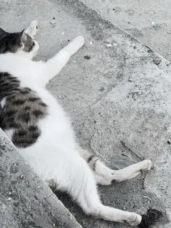melupakan