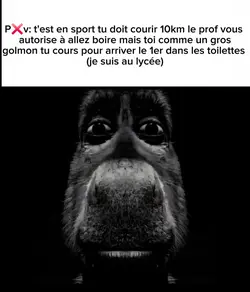 jc trop un golmon lv