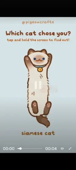 which cat chose you?