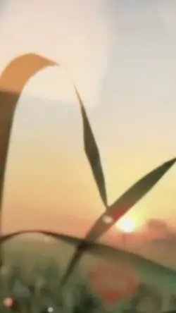 Masdho | akhir tahun