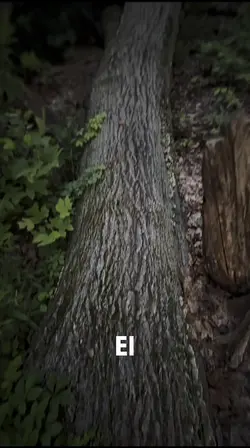 Motivación 