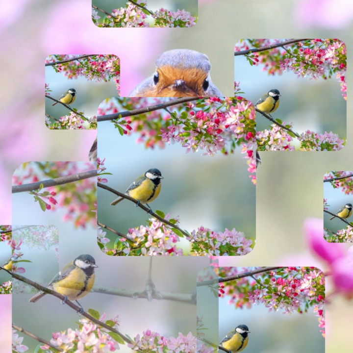 Frühling