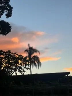 make any sunset pic 