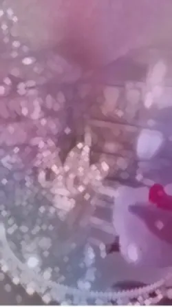 生活音　使う時👍と💬お願い！