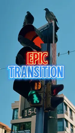 EPIC TRANSITION 
