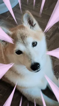 あれ、なんか変？