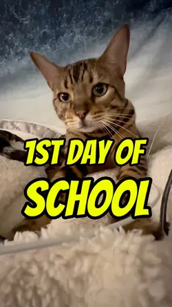 1st day of school 😾😼