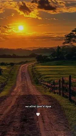 Toneladas de paixão🎶