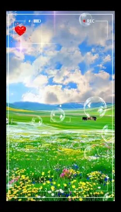 음악영상 음악템플릿MusicVideo