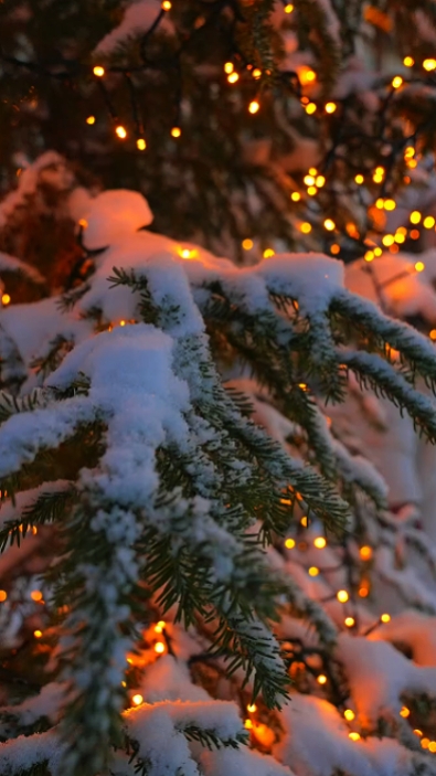 Navidad