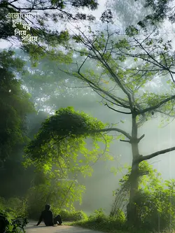 মা।😊❤️‍🩹