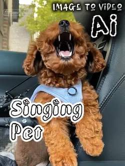 Singing Pet Ai