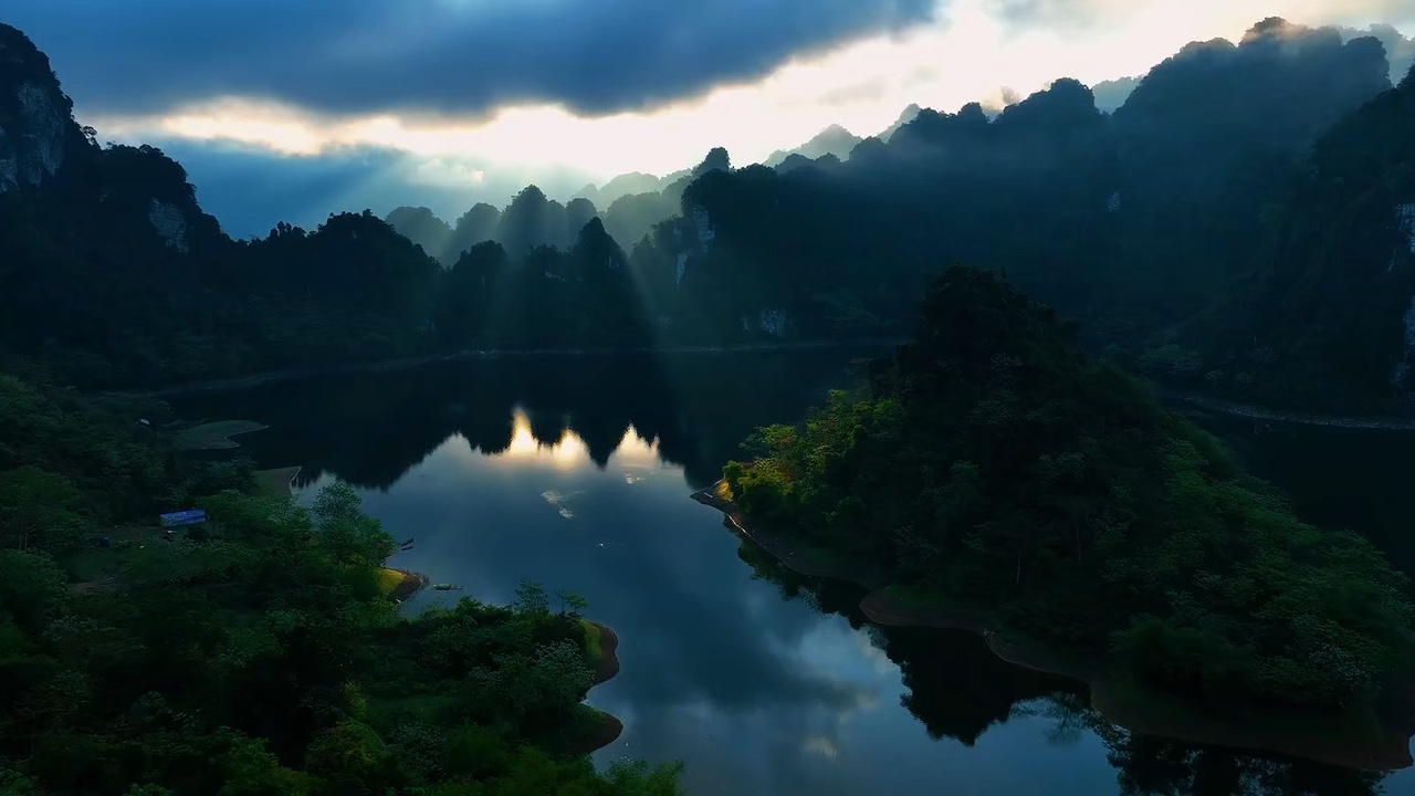 Nature Vibes