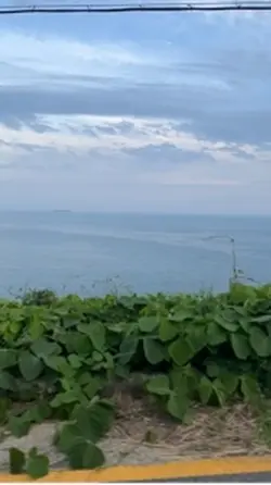 반전!!