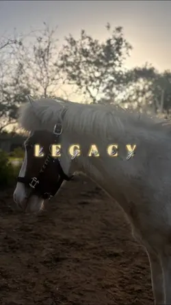 L e g a c y