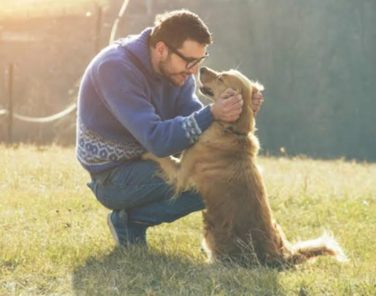 Man’s best friend?