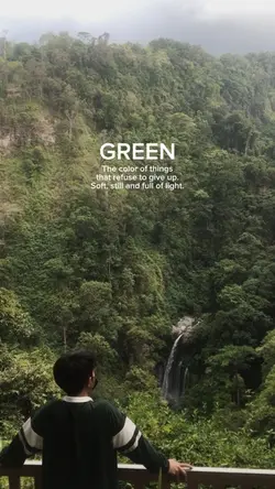 Green brave