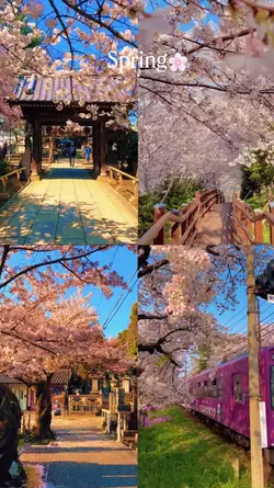 Spring. 