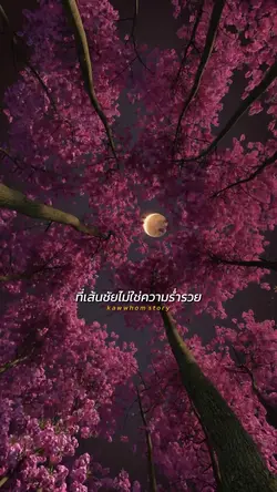 เส้นชัยไม่ใช่ความรวย