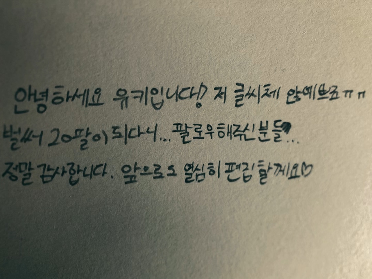 20팔 공약~