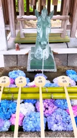 紫陽花と神社