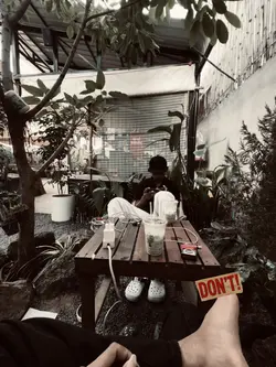 Song loy 💫🎶🎼