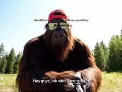 Ai bigfoot