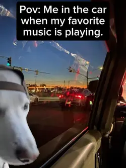 me in the car