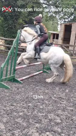 I have ridden a 14.2