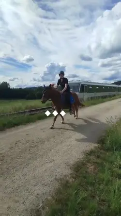 he isn't slow