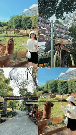 Frame kebun binatang