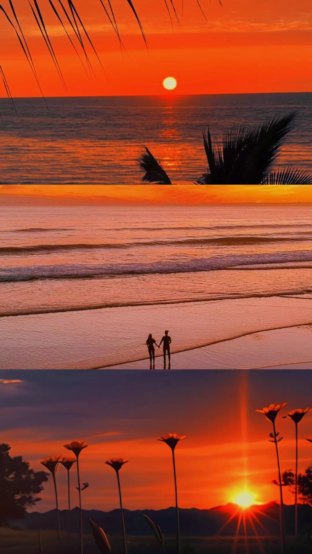 Sunset Aesthetic