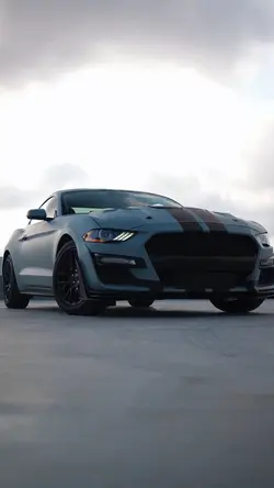 Ford Mustang Shelby
