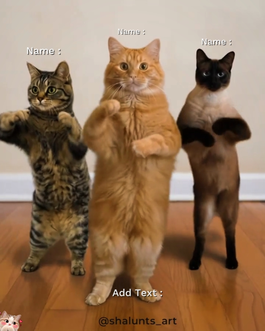 Dance cat Trend 