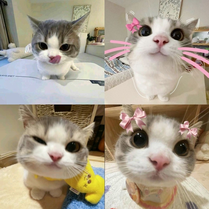 Bingkai lucu