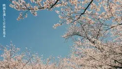 映画を通して日本を見る