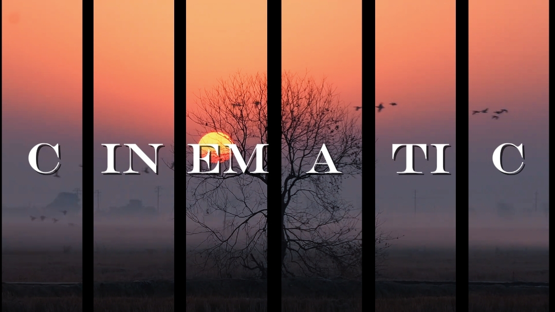 Cinematográfico